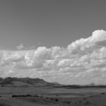 The road home