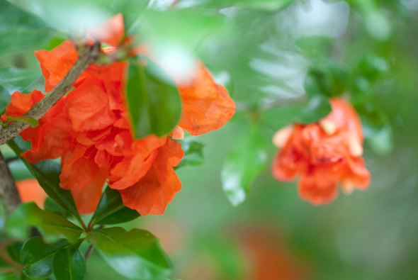 DSC_4564_blog